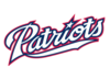 Large Patriot Script Logo Cut Image